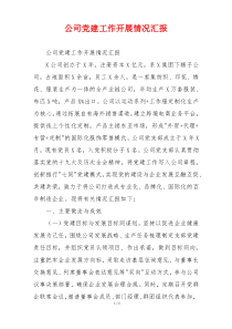 公司党建工作开展情况汇报
