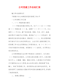 公司党建工作总结汇报