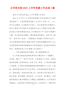 公司党支部2025上半年党建工作总结2篇