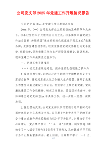 公司党支部2025年党建工作开展情况报告