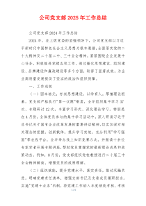 公司党支部2025年工作总结