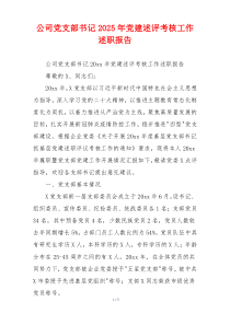公司党支部书记2025年党建述评考核工作述职报告