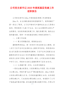 公司党支部书记2025年度抓基层党建工作述职报告