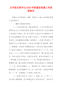 公司党支部书记2025年抓基层党建工作述职报告