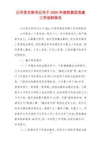 公司党支部书记关于2025年度抓基层党建工作述职报告