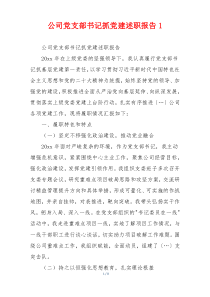 公司党支部书记抓党建述职报告1