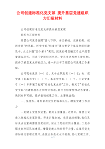 公司创建标准化党支部 提升基层党建组织力汇报材料