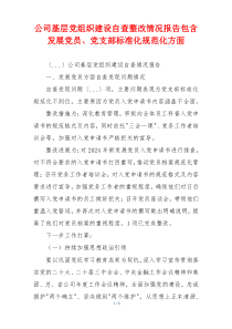 公司基层党组织建设自查整改情况报告包含发展党员、党支部标准化规范化方面