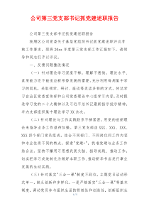 公司第三党支部书记抓党建述职报告