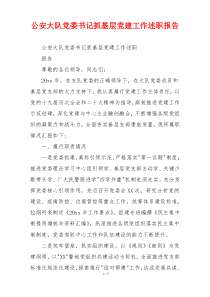 公安大队党委书记抓基层党建工作述职报告