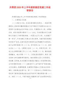 共青团2025年上半年度抓基层党建工作述职报告