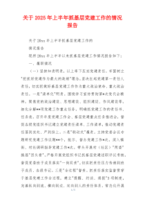 关于2025年上半年抓基层党建工作的情况报告