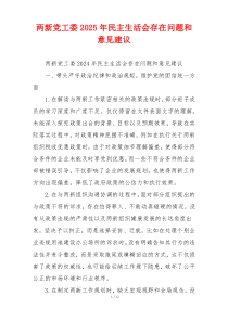 两新党工委2025年民主生活会存在问题和意见建议