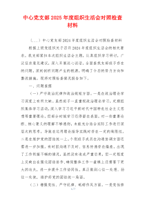 中心党支部2025年度组织生活会对照检查材料