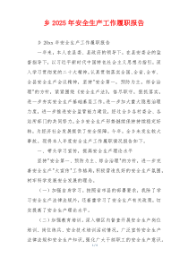 乡2025年安全生产工作履职报告
