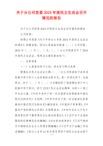 关于分公司党委2025年度民主生活会召开情况的报告
