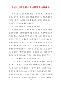 乡镇人大副主任个人述职述责述廉报告