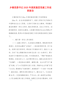 乡镇党委书记2025年度抓基层党建工作述职报告