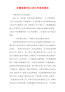 乡镇党委书记2025年述法报告