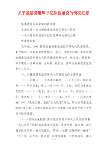 关于基层党组织书记队伍建设的情况汇报