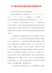 关于基层党组织建设情况的整改报告