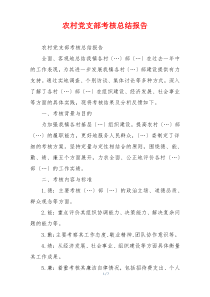 农村党支部考核总结报告