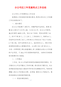 分公司近三年党建亮点工作总结