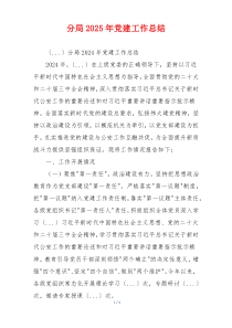 分局2025年党建工作总结