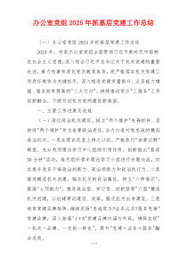 办公室党组2025年抓基层党建工作总结