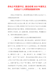 供电公司党委书记、副总经理2025年度民主生活会个人对照检视剖析材料
