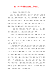 区2025年基层党建工作要点