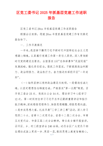 区党工委书记2025年抓基层党建工作述职报告