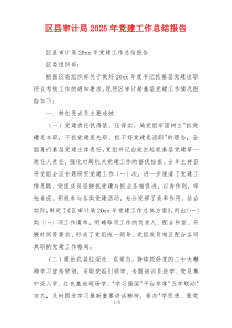 区县审计局2025年党建工作总结报告