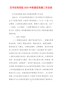 区司法局党组2025年抓基层党建工作总结