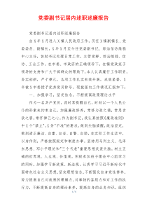 党委副书记届内述职述廉报告