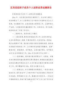 区局党组班子成员个人述职述责述廉报告