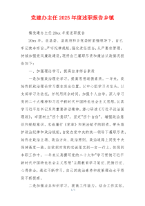 党建办主任2025年度述职报告乡镇