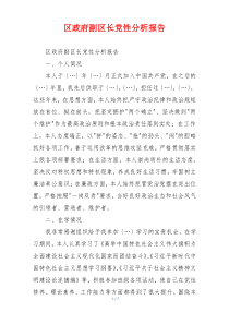 区政府副区长党性分析报告