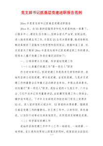 党支部书记抓基层党建述职报告范例