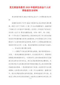 党支部宣传委员2025年组织生活会个人对照检查发言材料