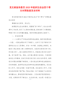 党支部宣传委员2025年组织生活会四个带头对照检查发言材料