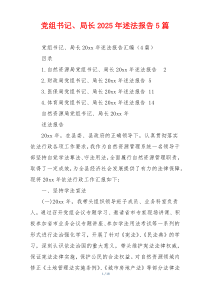 党组书记、局长2025年述法报告5篇
