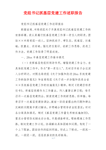 党组书记抓基层党建工作述职报告