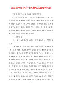 党组织书记2025年抓基层党建述职报告