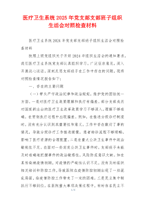 医疗卫生系统2025年党支部支部班子组织生活会对照检查材料