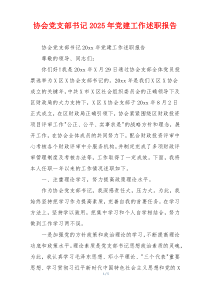 协会党支部书记2025年党建工作述职报告