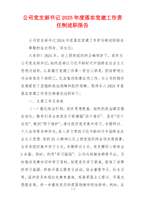 公司党支部书记2025年度落实党建工作责任制述职报告
