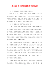 县2025年两新组织党建工作总结
