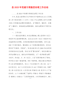 县2025年党建引领基层治理工作总结