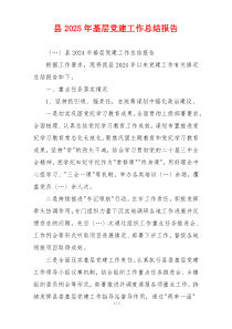 县2025年基层党建工作总结报告
